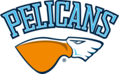 Pelicans logo.png