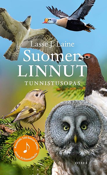 Tiedosto:Laine, Suomen linnut.jpg