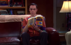 Sheldon opettelee suomen kieltä sarjan Rillit huurussa kolmannella tuotantokaudella.