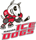 Pienoiskuva sivulle Niagara IceDogs