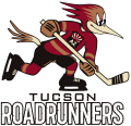 Pienoiskuva sivulle Tucson Roadrunners