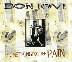 Singlen ”Something for the Pain” kansikuva