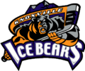 Pienoiskuva sivulle Knoxville Ice Bears