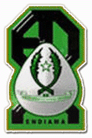 Sagrada Esperança Logo