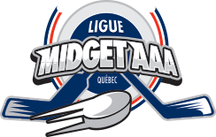 Fortune Salaire Mensuel de Midget Aaa Combien gagne t il d argent ? 1 140 000,00 euros mensuels