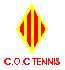 Logo du section de tennis