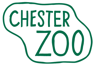 Fichier:Chester zoocopia.png