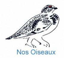 Fichier:Nos Oiseaux.jpg