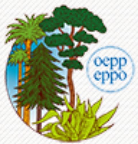 Fichier:OEPP logo.png