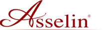 logo de Asselin (entreprise)