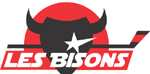 Bisonti di Neuilly-sur-Marne.gif