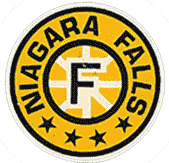 Fortune Salaire Mensuel de Flyers De Niagara Falls Combien gagne t il d argent ? 1 000,00 euros mensuels