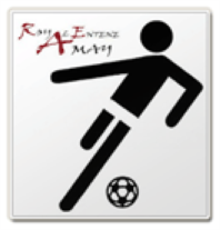 Fichier:Logo-RoyaleEntenteRacingClubAmay.png