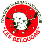 Fichier:Toulouse Blagnac Hockey.gif