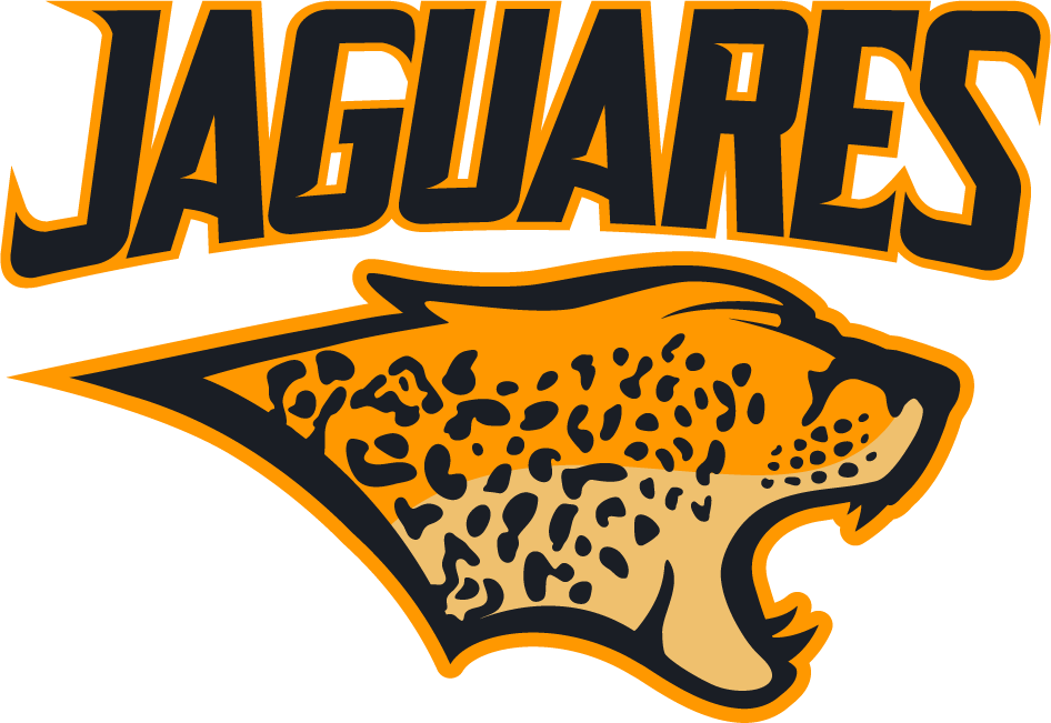 pumas y jaguares rugby