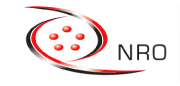 Logo NRO