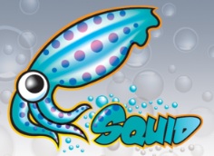 Formation Squid / SquidGuard
