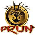 Logo de Prun' de 1999 à 2003.
