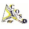 Logo du CO Saint-Dizier