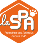 Logo de l’association