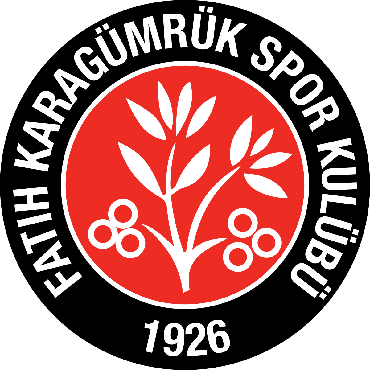 Fichier:Fatih Karagümrük SK (logo).svg — Wikipédia