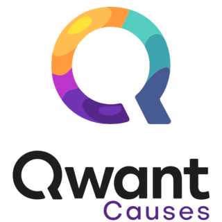 Fortune Salaire Mensuel de Qwant Causes Combien gagne t il d argent ? 1 000,00 euros mensuels