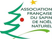 Sapin De Noël: Histoire, Traditions, Image