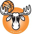 Logo du Jämtland Basket