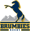 Vignette pour Brumbies