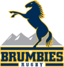 Logo du CA Brumbies