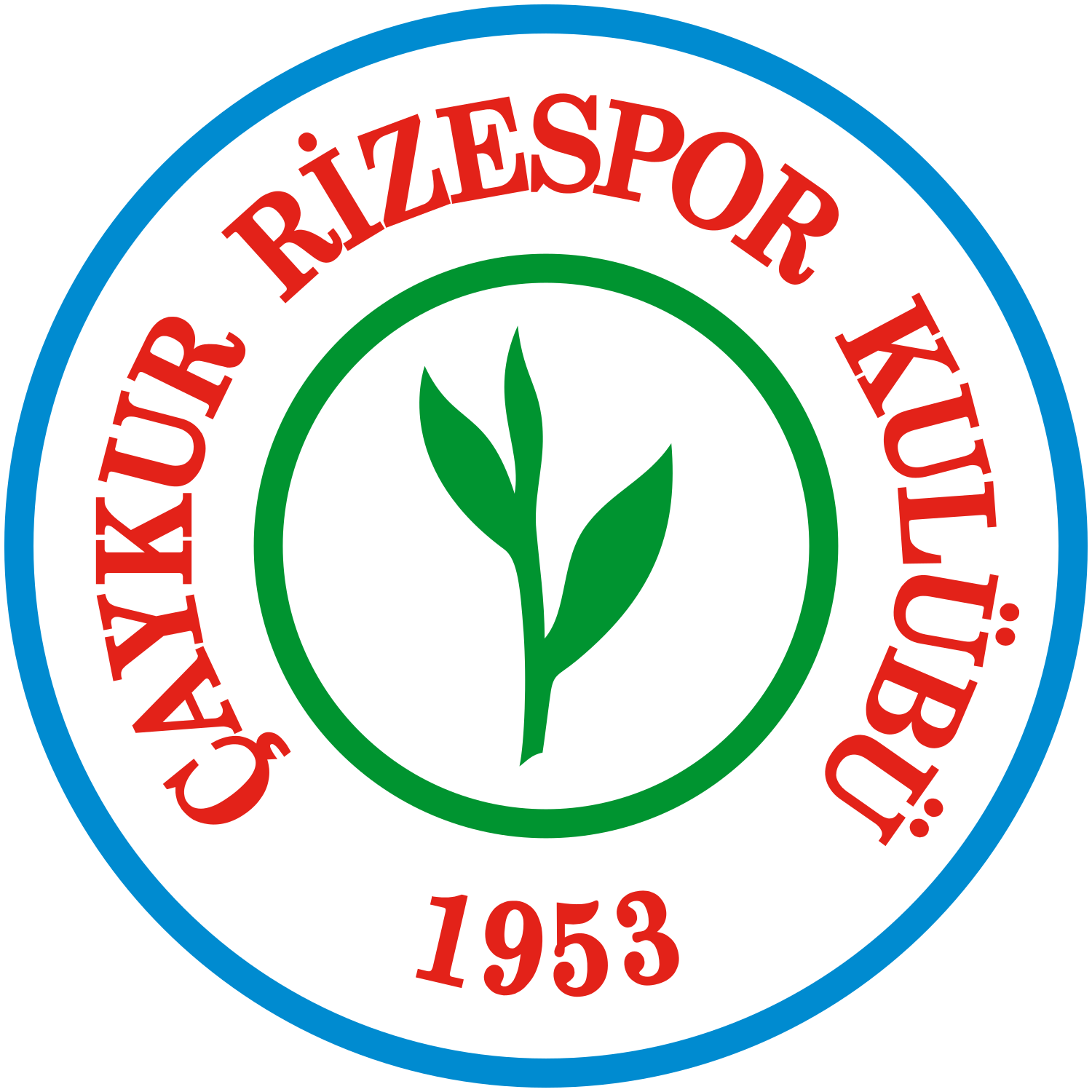 Fenerbahçe Spor Kulübü (calcio) - Wikiwand