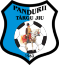 Vignette pour Clubul Sportiv Pandurii Târgu Jiu