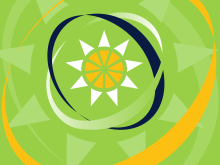 Flag of the OECS.svg