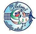 Vignette pour Chieri Torino Volley Club