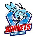 Vignette pour Rochdale Hornets Rugby Football League Club