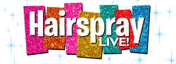 Vignette pour Hairspray Live!