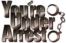 Illustrerende billede af varen You're Under Arrest (animeret tv-serie)