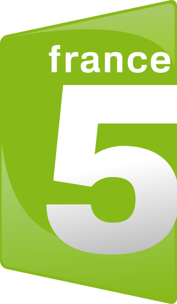 Fichier:Logo France 5.svg