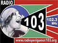 Vignette pour Radio Périgueux 103