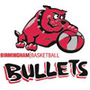 Vignette pour Birmingham Bullets