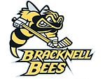 Beschrijving van de Bracknell Bees logo.jpg afbeelding.