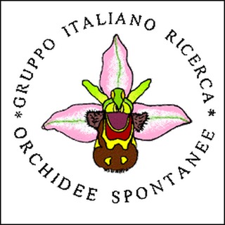 Fortune Salaire Mensuel de Groupe Italien De Recherche Sur Les Orchidees Sauvages Combien gagne t il d argent ? 10 000,00 euros mensuels