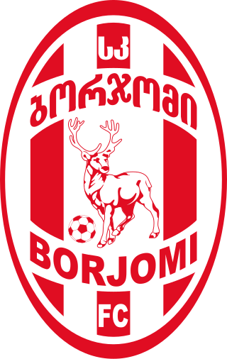 Fortune Salaire Mensuel de Fc Borjomi Combien gagne t il d argent ? 1 000,00 euros mensuels