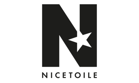 Nicetoile logo gris