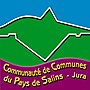 Vignette pour Communauté de communes du pays de Salins-les-Bains