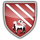 Logo du Droylsden FC