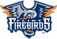 Descrição da imagem Flint Firebirds.png.