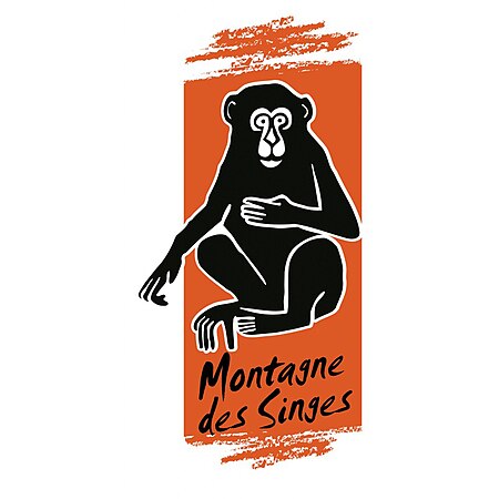 Montagne des singes logo