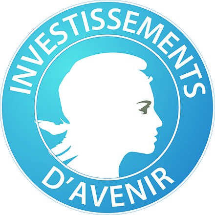 440px-Investissements_d'avenir_-_logo.jp