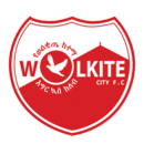 Logo du Wolkite City FC